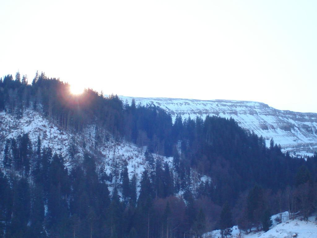 Hotel Alpina Unterwasser Exteriér fotografie